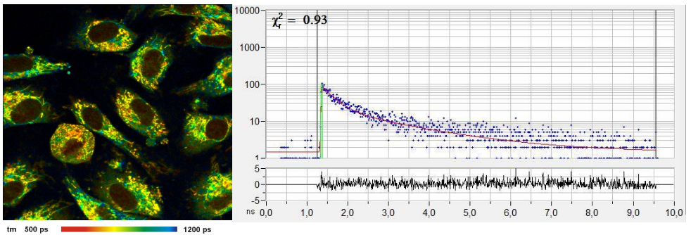 超快熒光壽命成像應用于皮膚癌早期檢測 超快熒光壽命成像應用于皮膚癌早期檢測