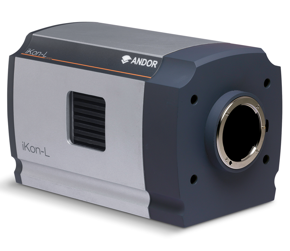 ikon-l.4c83de11ee23d874fc66284e90cf927d