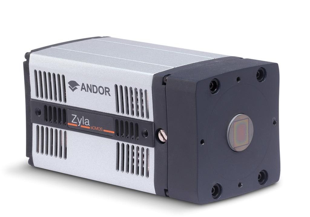 zyla-hf-xray.36e5812198661ef9c6021b54fffef88a